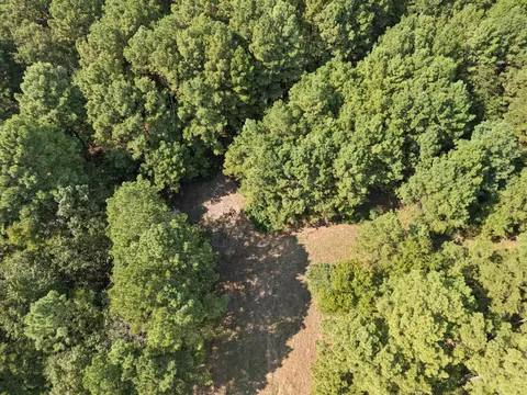 tbd Grimes Rd, Elysian Fields, TX 75642 photo 11