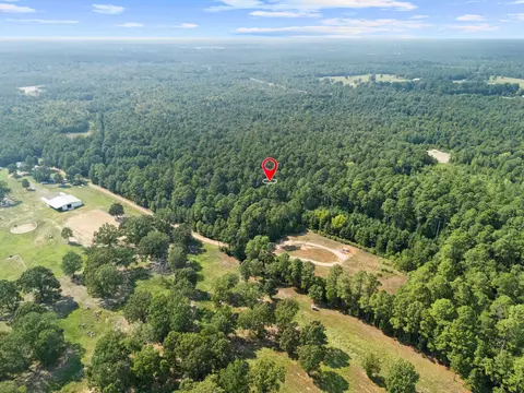 tbd Grimes Rd, Elysian Fields, TX 75642 photo 4