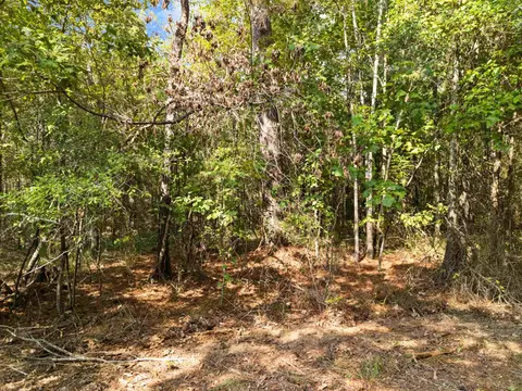 tbd Grimes Rd, Elysian Fields, TX 75642 photo 17