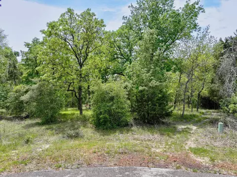 8950 Timber Ridge Ln, Larue, TX 75770