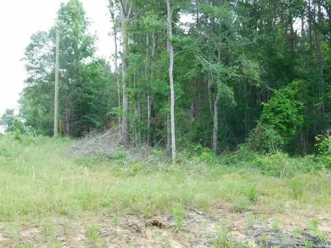 tbd Groundhog Rd, Gilmer, TX 75644 photo 2