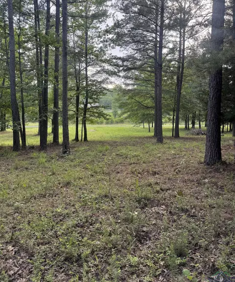 000 Pr 7223, Jefferson, TX 75657
