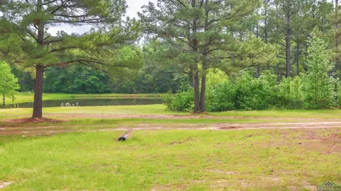 20 Cr 1766 Cut Off Rd, Jefferson, TX 75657