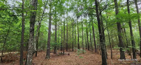 Cr 3230, Clarksville, TX 75426