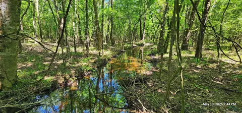 Cr 3230 And 3233, Clarksville, TX 75426