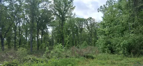 tbd Cass County Road 2925, Hughes Springs, TX 75656