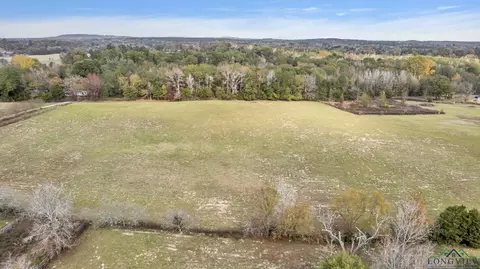 tbd Bob O Link Rd, Gilmer, TX 75645 photo 3
