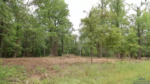 18 Ac Shelley Rd, Jefferson, TX 75657
