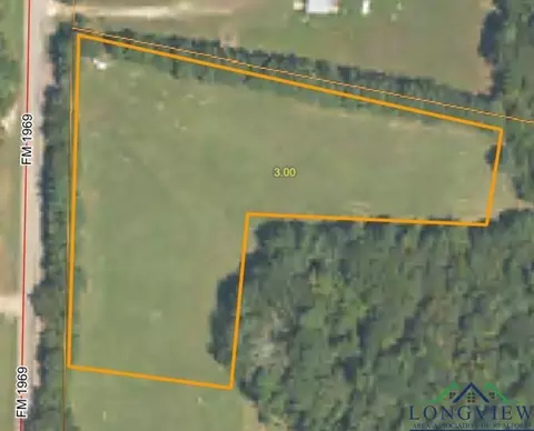 tbd Fm 1969, Avinger, TX 75630