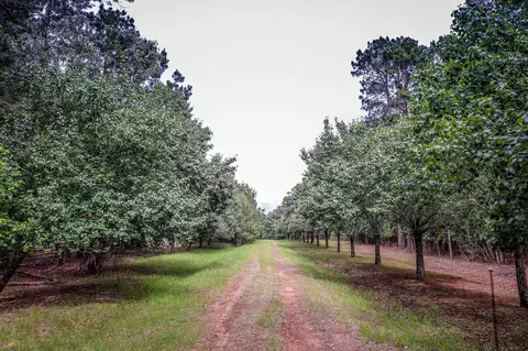 2188 Harkins Ln, Marshall, TX 75672