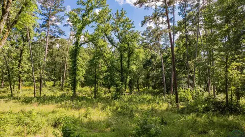 3 Bridle Path, Longview, TX 75605 photo 10