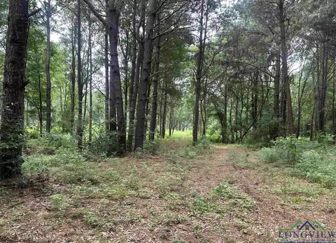X Fm 3042, Pittsburg, TX 75686