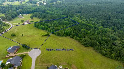 tbd Timberlake Ranch Rd, Hallsville, TX 75650