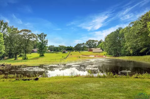 14384 N County Road 2125, Henderson, TX 75652