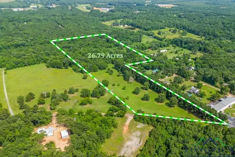 tbd Tract 2 Maple Springs Rd, Hallsville, TX 75650