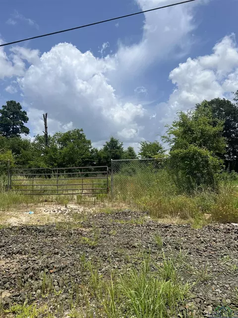 tbd Loop 500, Center, TX 75935 photo 4