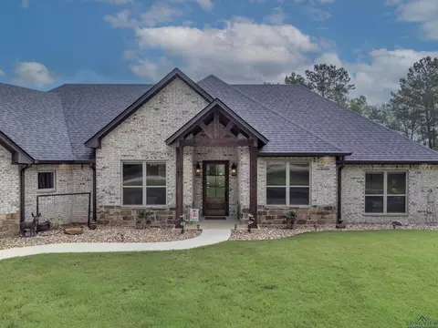 905 Desirees Trl, Tatum, TX 75691