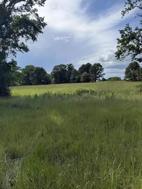 Other - 572 E Mountain Rd, Longview, TX 75604 photo 10 of 10