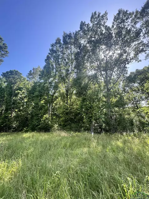 tbd Fm 2658, Tatum, TX 75691