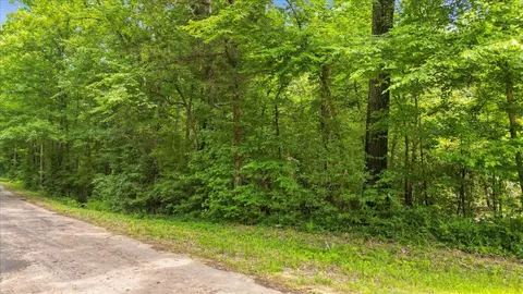 tbd Fm 10, Gary, TX 75643 photo 3