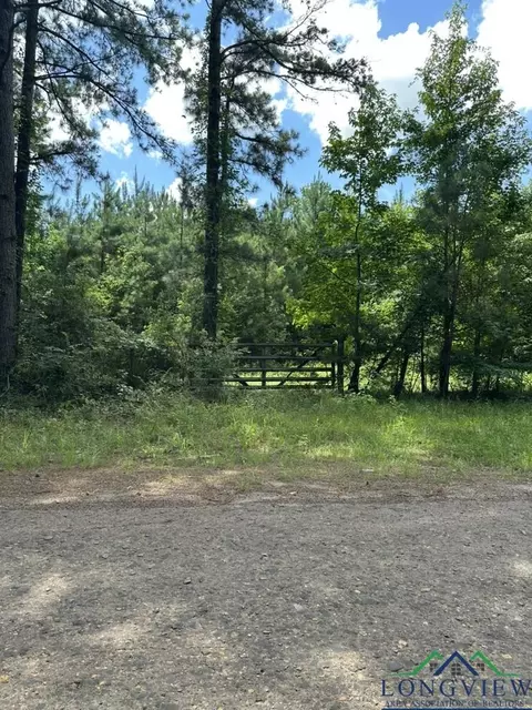 tbd W Liberty Rd, Harleton, TX 75651