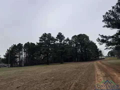 510 W Sterling Price St, Tatum, TX 75691