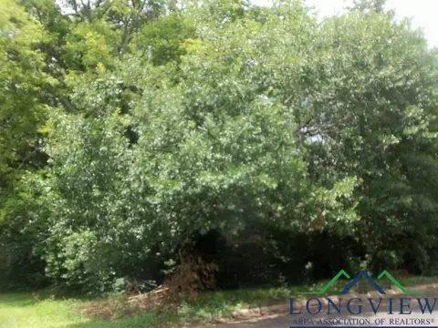 3411 Larkspur Ln, Kilgore, TX 75662