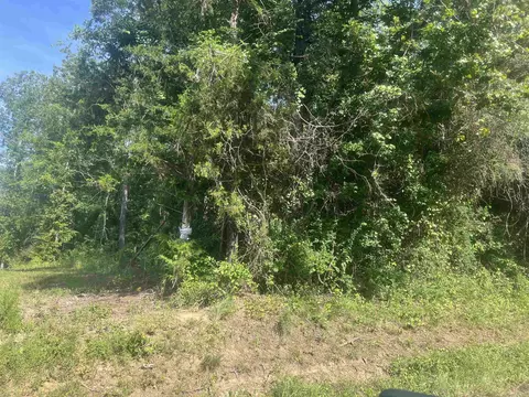 tbd Cr 337, De Berry, TX 75672