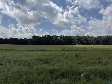 tbd Cr 317, Henderson, TX 75654