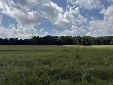 tbd Cr 317, Henderson, TX 75654