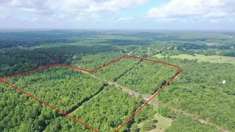 0000 Cr 1617, Avinger, TX 75630