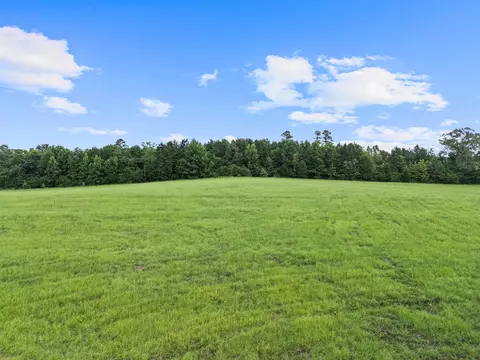 tbd Crystal Farms Rd, Tatum, TX 75691