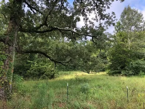 tbd Cr 347, Henderson, TX 75654