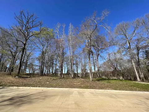 207 Longleaf Dr, Longview, TX 75602 photo 11