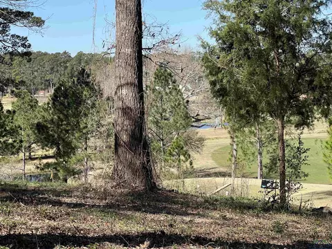 207 Longleaf Dr, Longview, TX 75602 photo 14