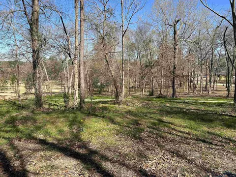 207 Longleaf Dr, Longview, TX 75602 photo 18