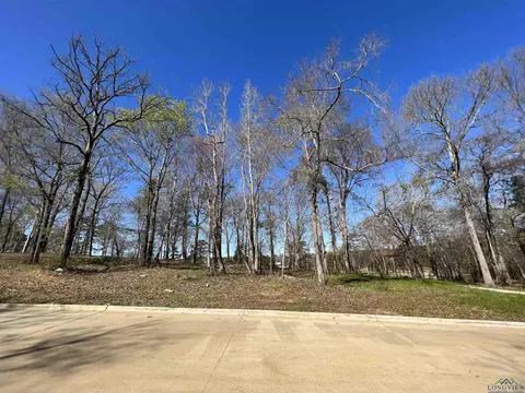 207 Longleaf Dr, Longview, TX 75602 photo 11