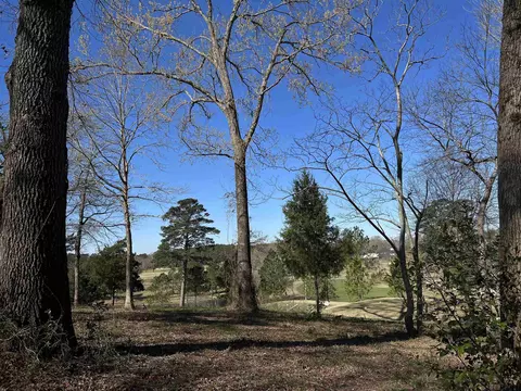 207 Longleaf Dr, Longview, TX 75602 photo 16