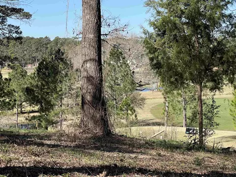 207 Longleaf Dr, Longview, TX 75602 photo 14