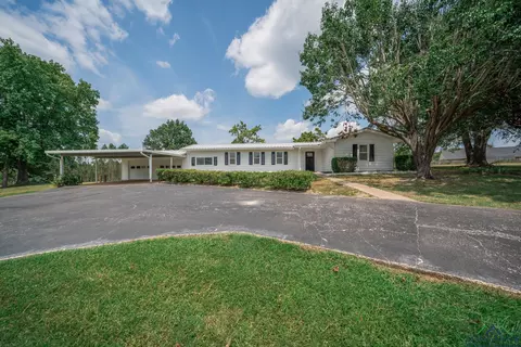 13339 State Highway 154 E, Diana, TX 75640