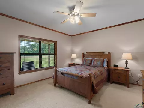476 County Road 3201, Daingerfield, TX 75638 photo 17