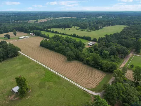 476 County Road 3201, Daingerfield, TX 75638 photo 5