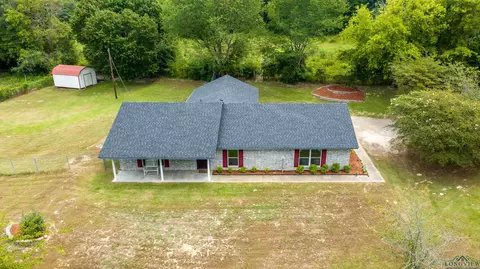 415 Baker, Harleton, TX 75651 photo 1