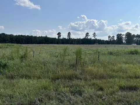 6 62 Acres Hwy 49, Jefferson, TX 75657