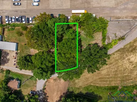 View/Area - 337 Walker St, Gilmer, TX 75644 photo 1 of 2