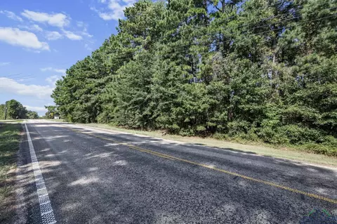 tbd Fm 450, Harleton, TX 75651 photo 3