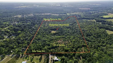 tbd Silver Spruce Rd, Gilmer, TX 75645