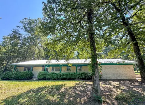 140 Ma County Road 3312, Bivins, TX 75555