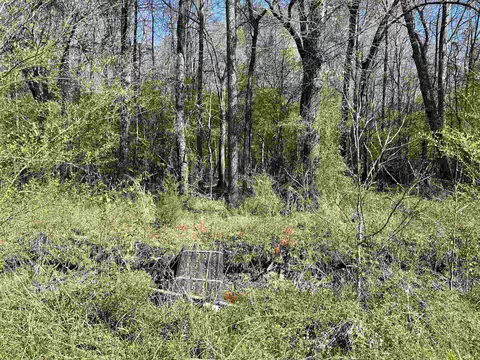 tbd Fm 1968, Harleton, TX 75651 photo 15