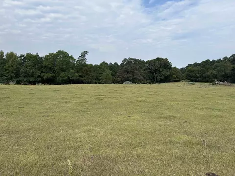tbd County Road 165, Long Branch, TX 75669